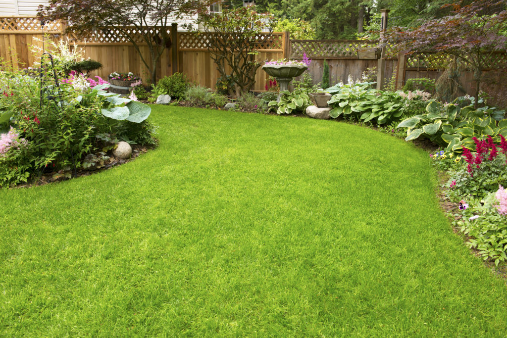 Artificial Grass Installation