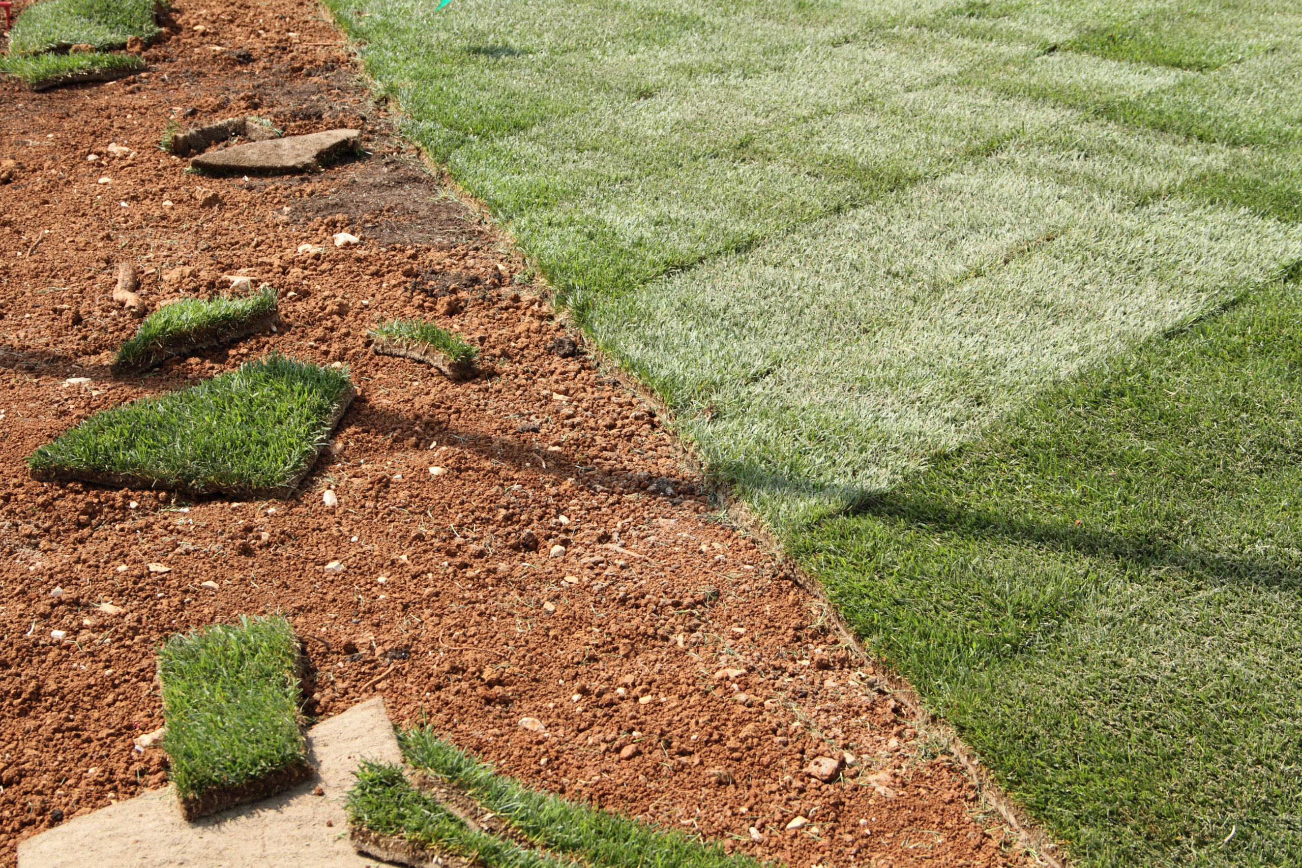 Why Synthetic Grass Is a Great Investment for Homeowners