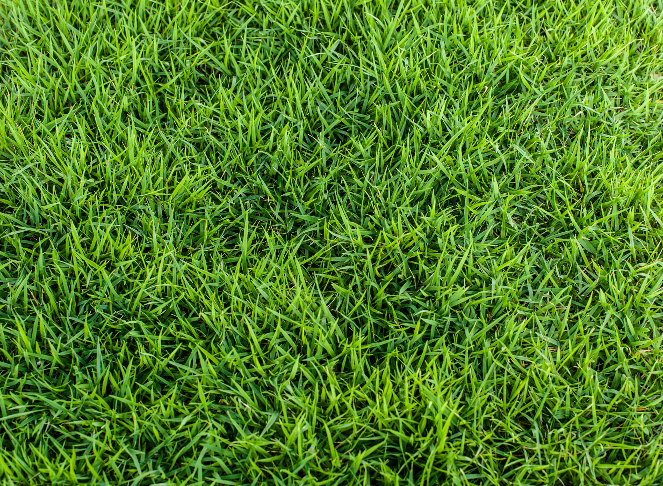 How to Ensure Your Artificial Grass Lasts for 20 Years