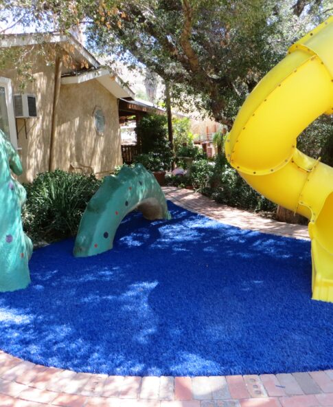 Play & Pet Areas