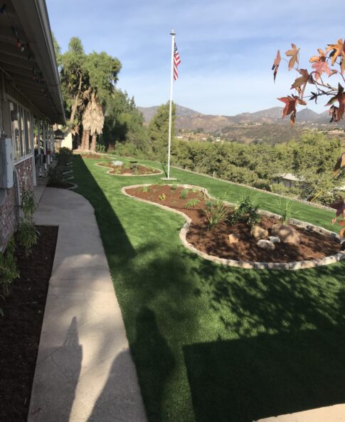Play & Pet Areas
