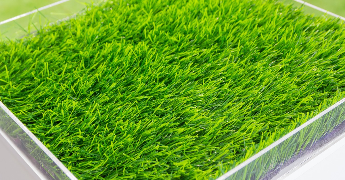 A close-up view of bright green artificial grass displayed inside a clear rectangular showcase tray.