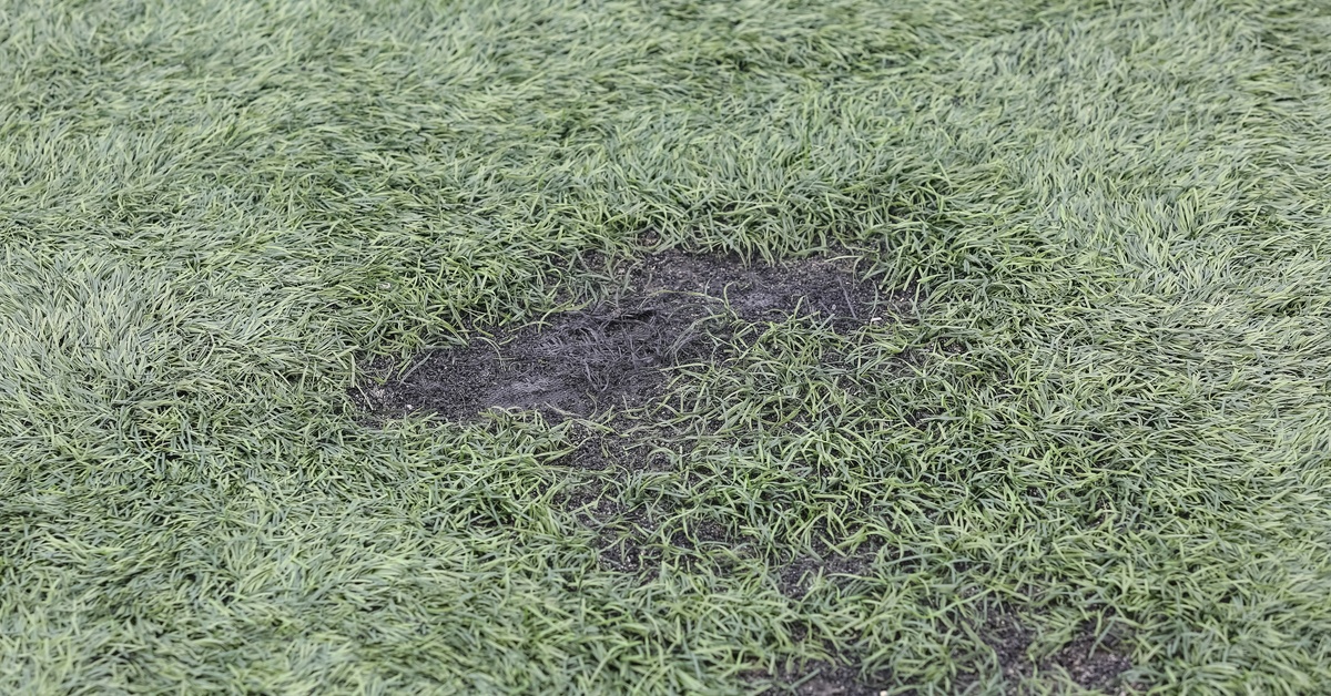 A close-up view of torn artificial turf with a dark hole, curled grass edges, and green synthetic blades.