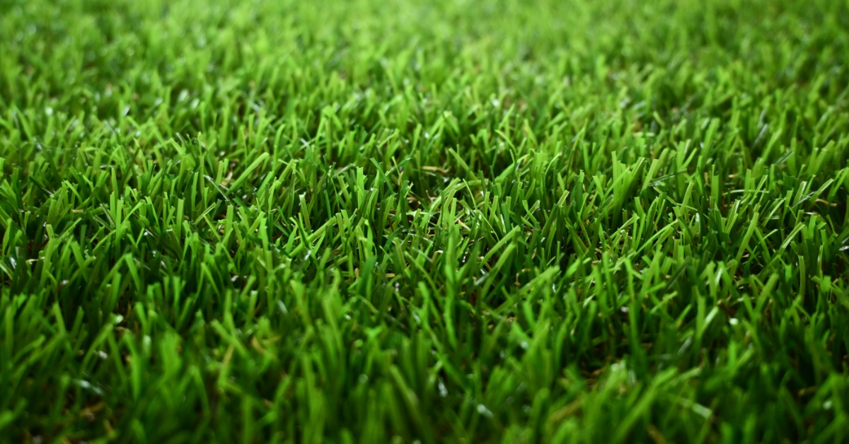 A close-up view of dense green artificial turf blades filling the frame with a softly blurred background.