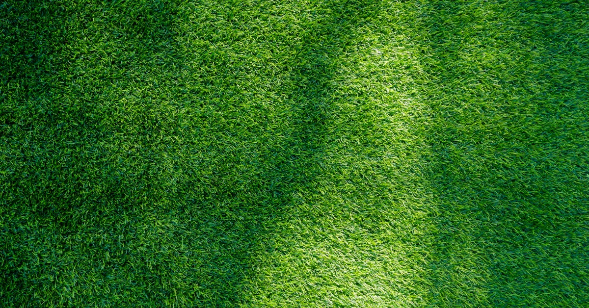 A close surface of green turf showing dense grass texture with lighter and darker patches across the area.